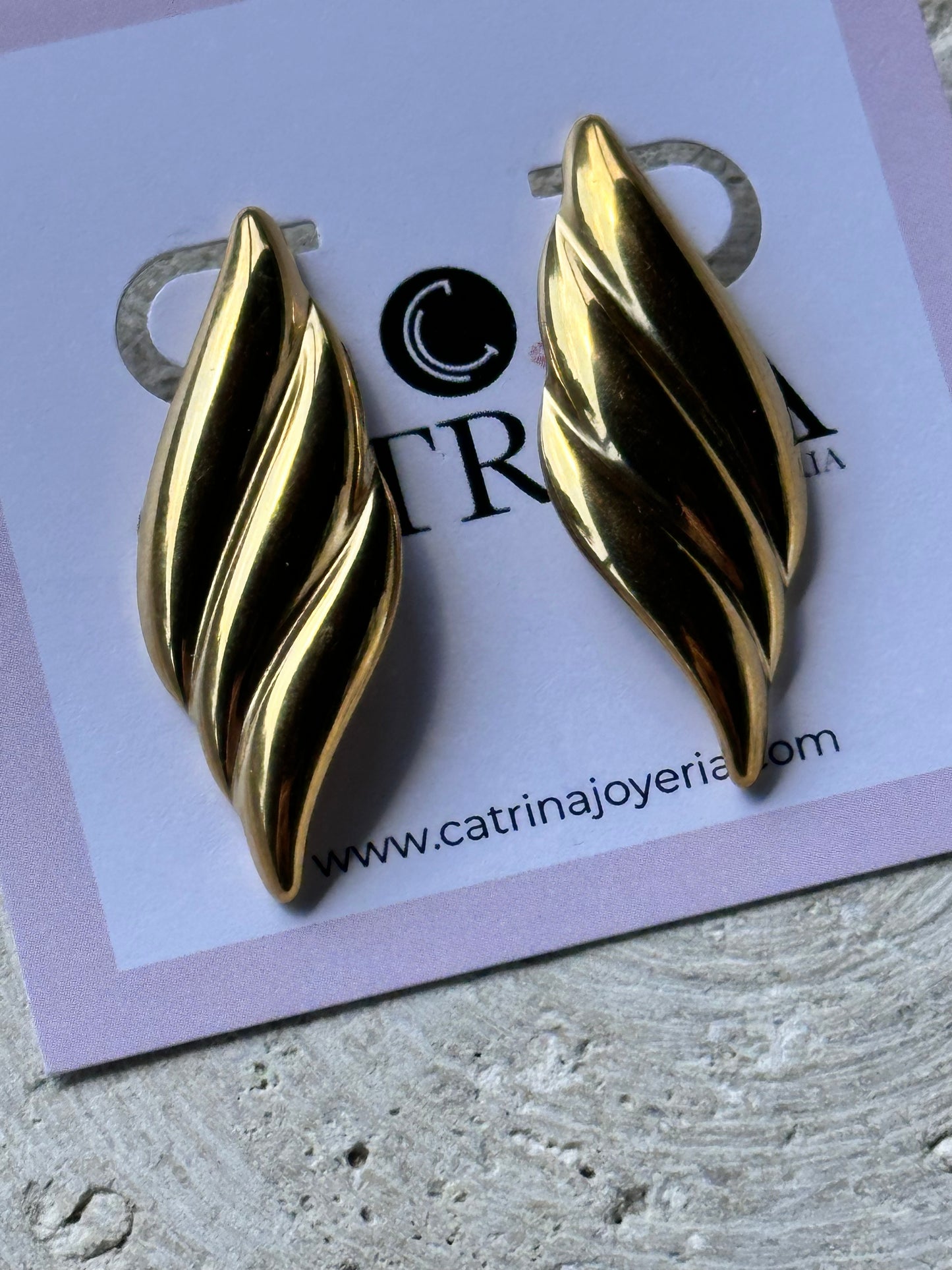 Wings Earrings