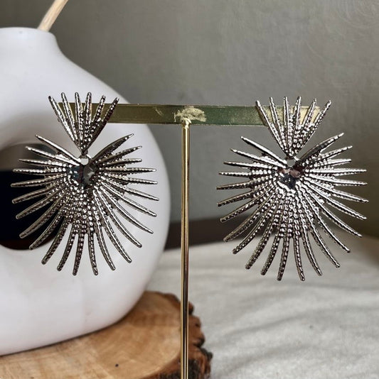 Stunning Heart Earrings