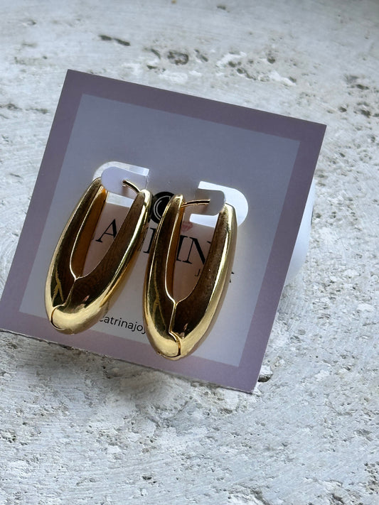 Oval Hoops Earrings